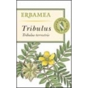 Tribulus- Erbamea 40 % saponine