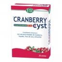 Cranberry Cyst 
